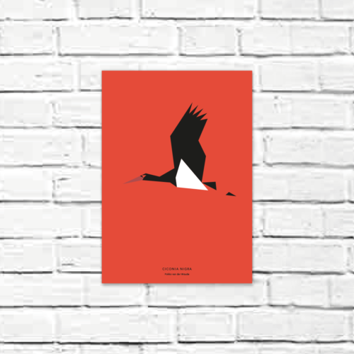 Ciconia nigra A4 poster