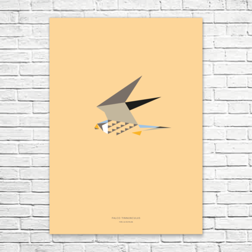 Falco tinnunculus A1 poster