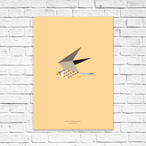 Falco tinnunculus A2 poster
