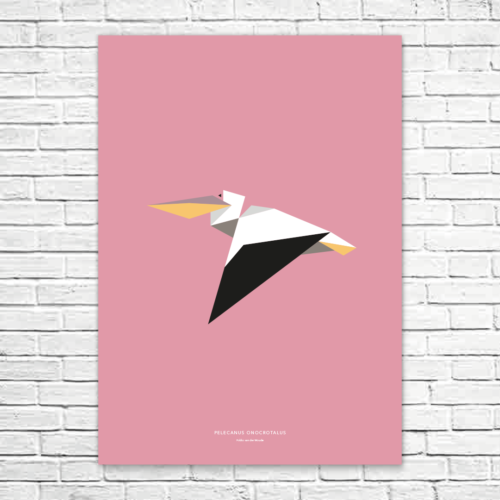 Pelecanus onocrotalus A1 poster