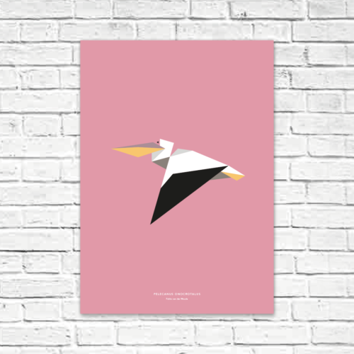 Pelecanus onocrotalus A2 poster