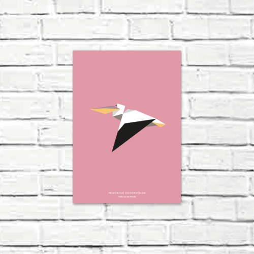 Pelecanus onocrotalus A4 poster