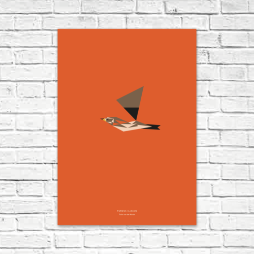 Turdus iliacus A2 poster