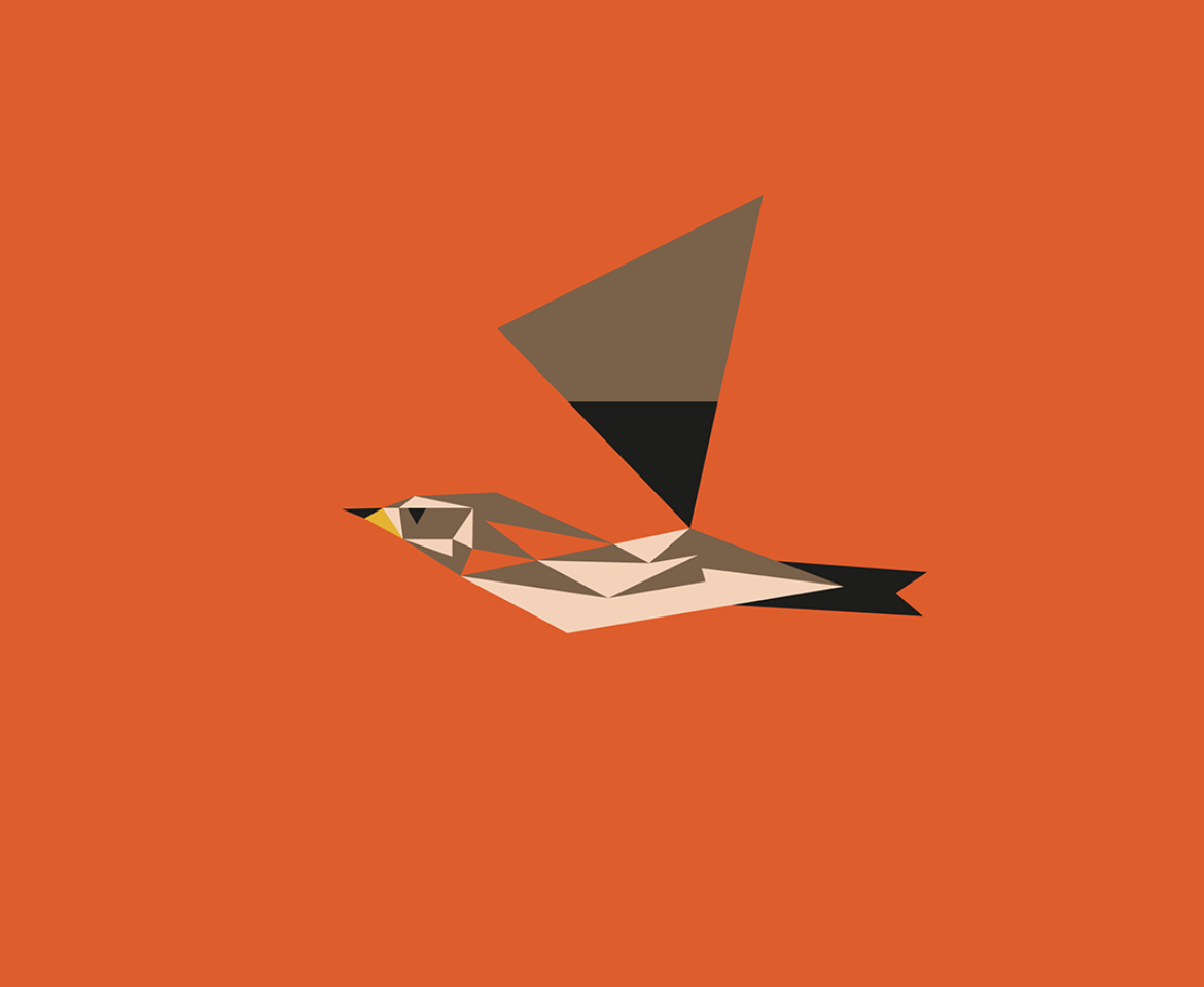 Turdus iliacus